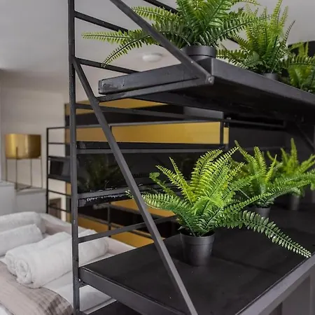 Lotus_aristotelous_loft *